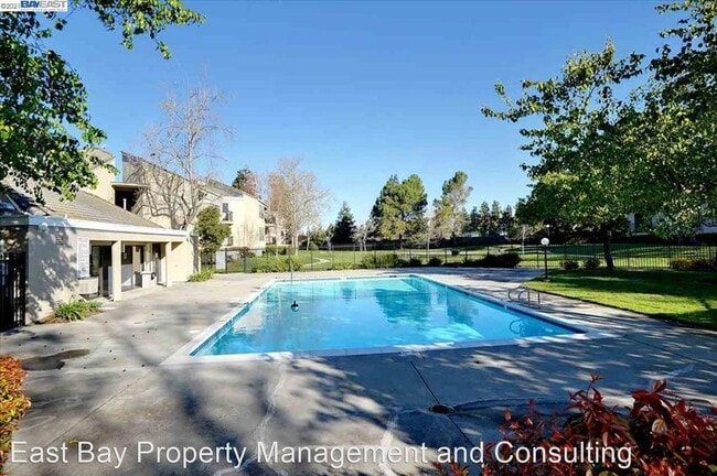 Building Photo - 2 br, 2 bath House - 39400 Albany Common #B