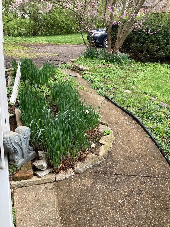 Building Photo - 3 bedroom, 1 bath House: Available August ...
