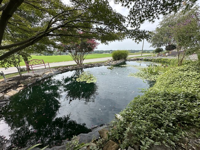 Beautiful pond view - 6245 Iron Bridges Rd