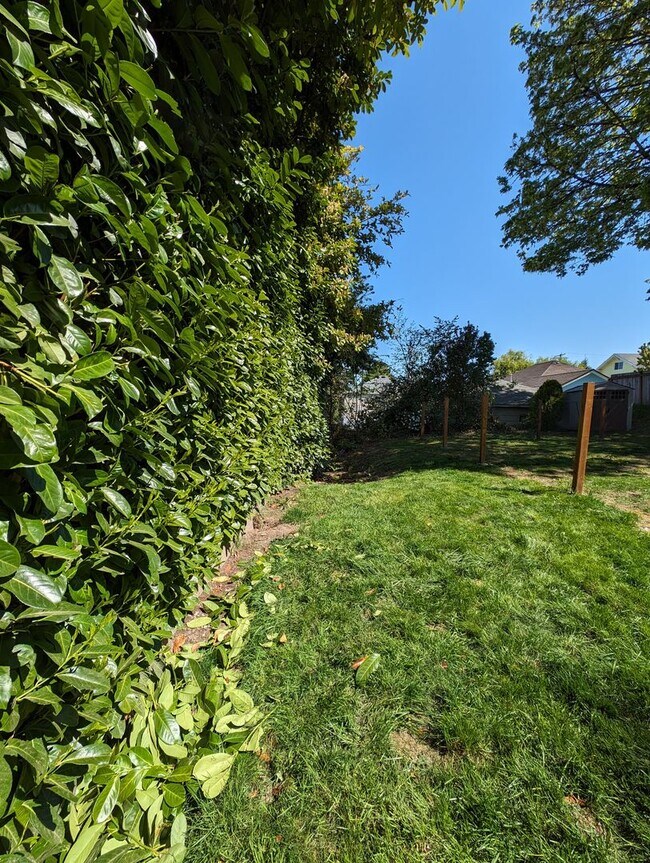 Building Photo - Updated 3 Bedroom Charmer in the Heart of ...