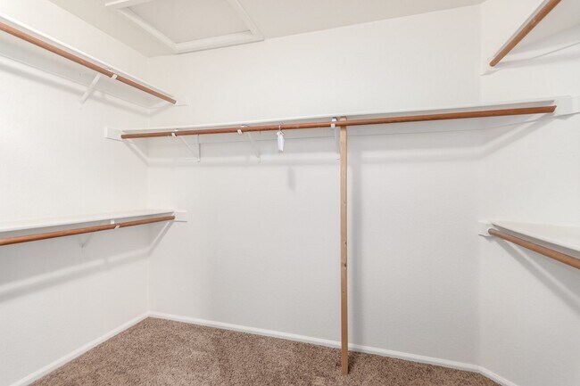 Building Photo - 4 bedoom home with private pool