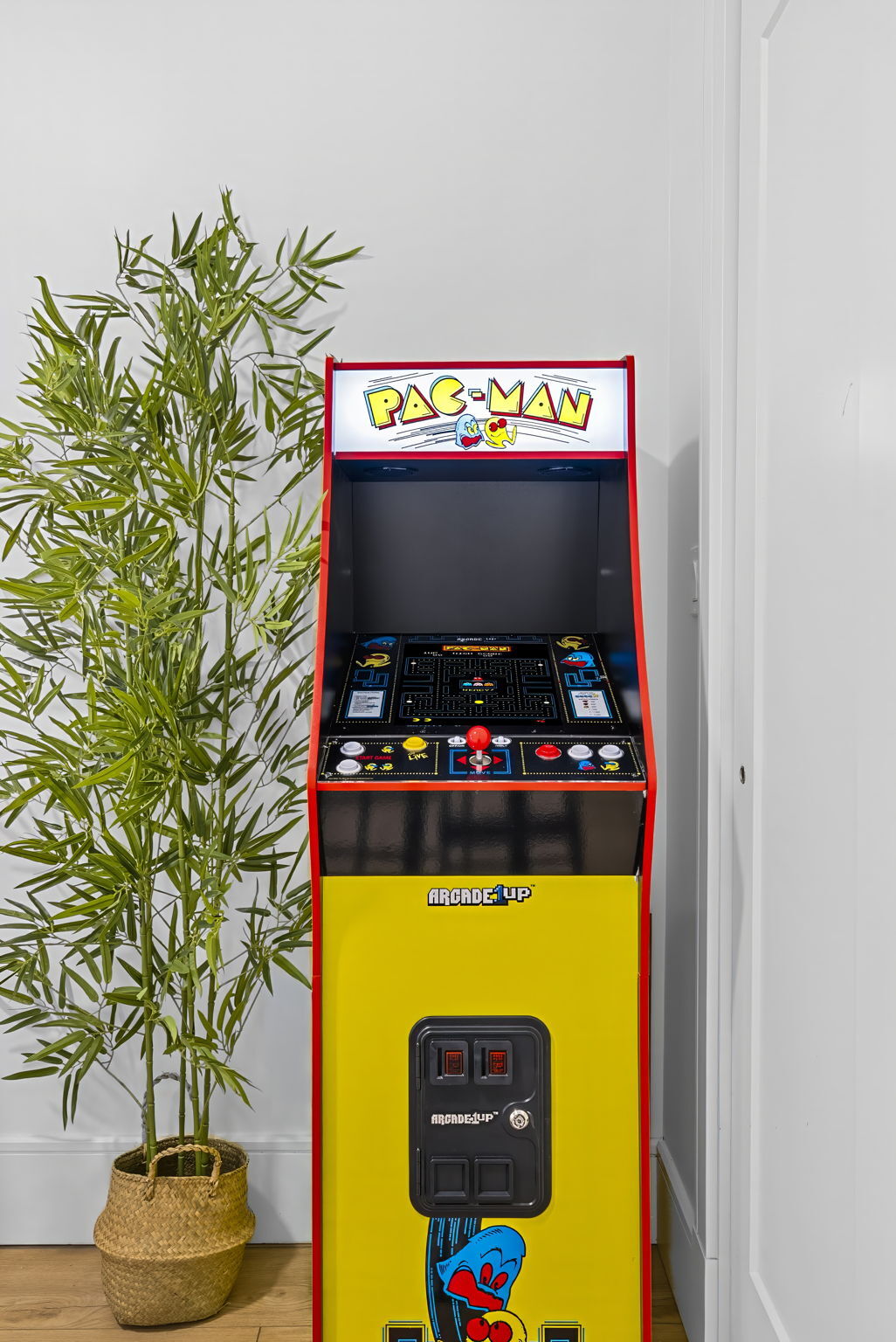 Building Photo - 1566 Beacon St