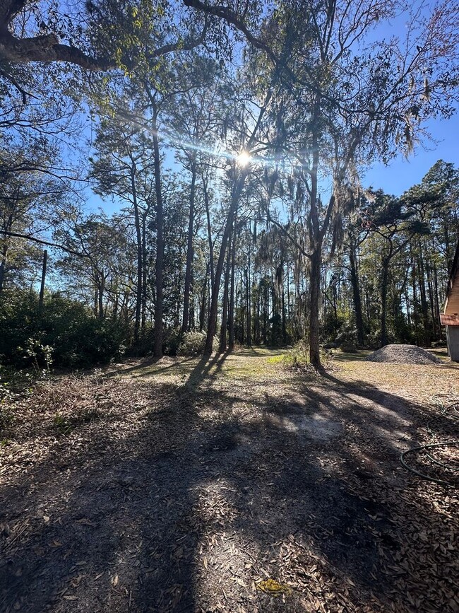 Building Photo - Country Brick Ranch in Callahan