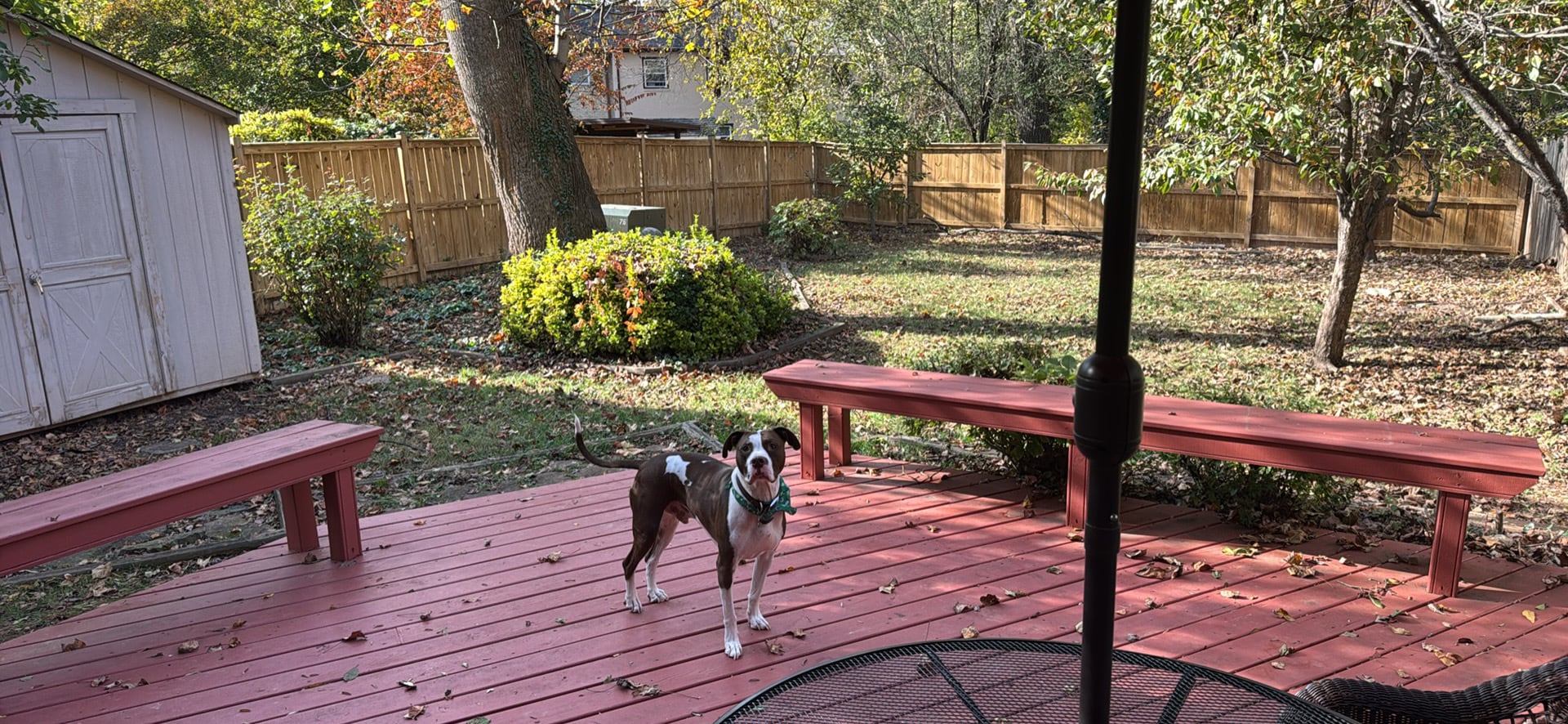 Building Photo - 14824 Palmerston Sq