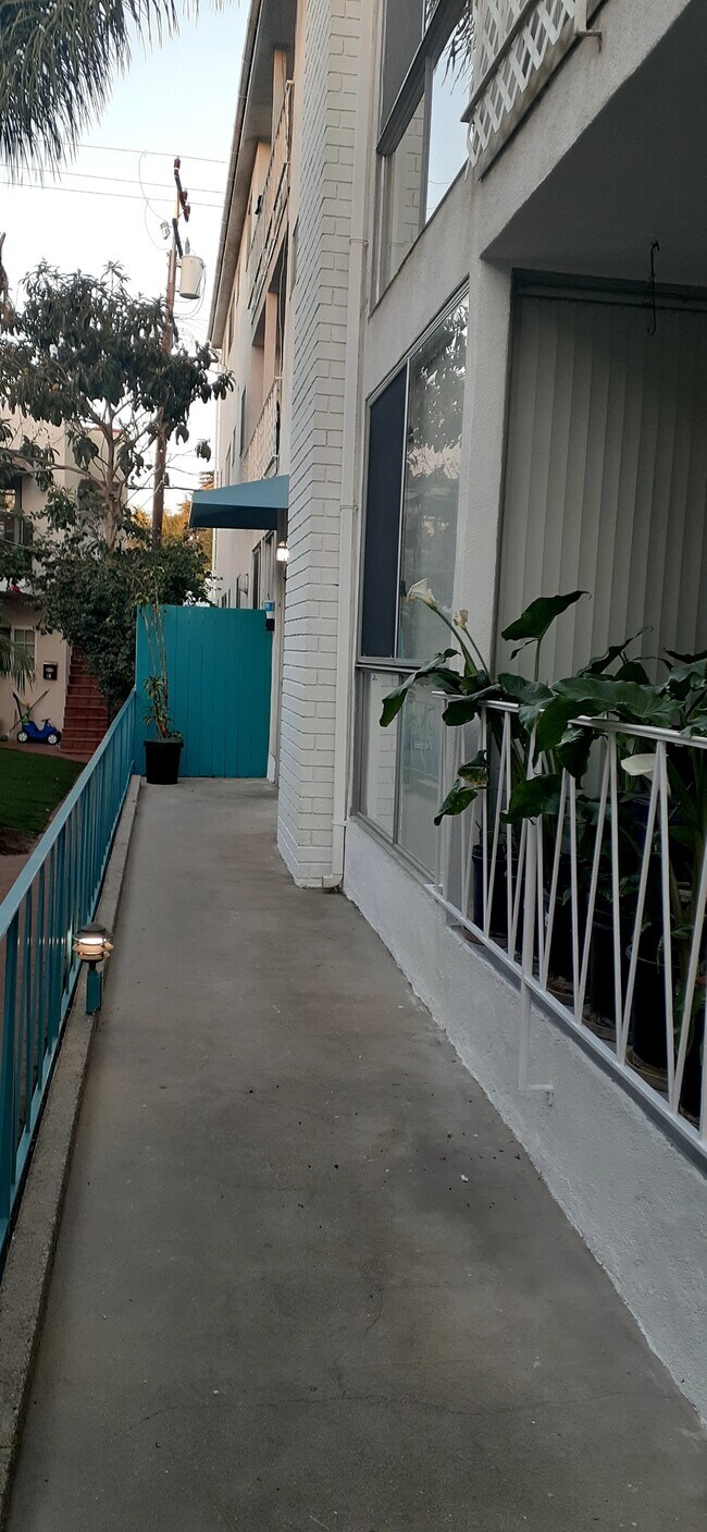 The front entry walkway - 931 Euclid St