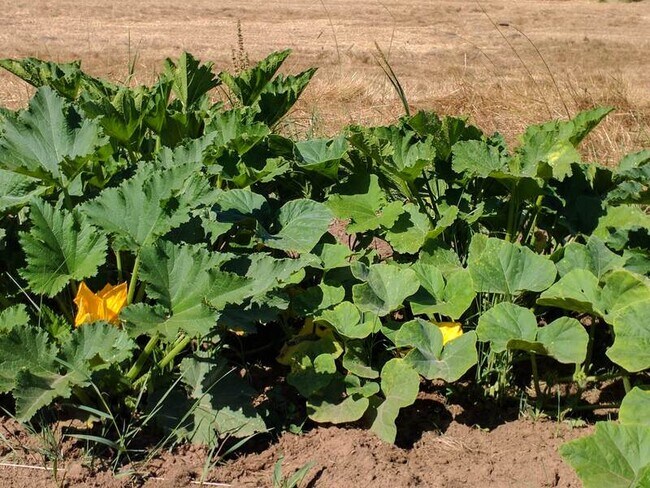 Building Photo - 19105 NE 112th Ave