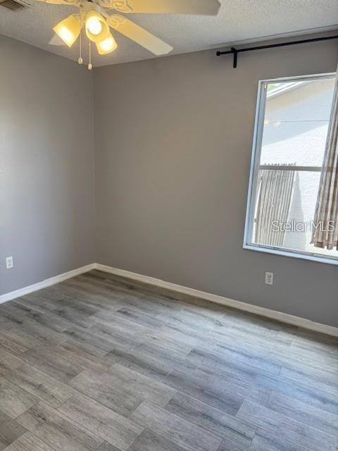 Building Photo - 11301 Cypress Leaf Dr