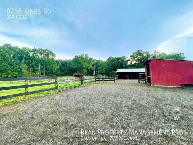 Building Photo - FIVE ACRE HORSE FARM!