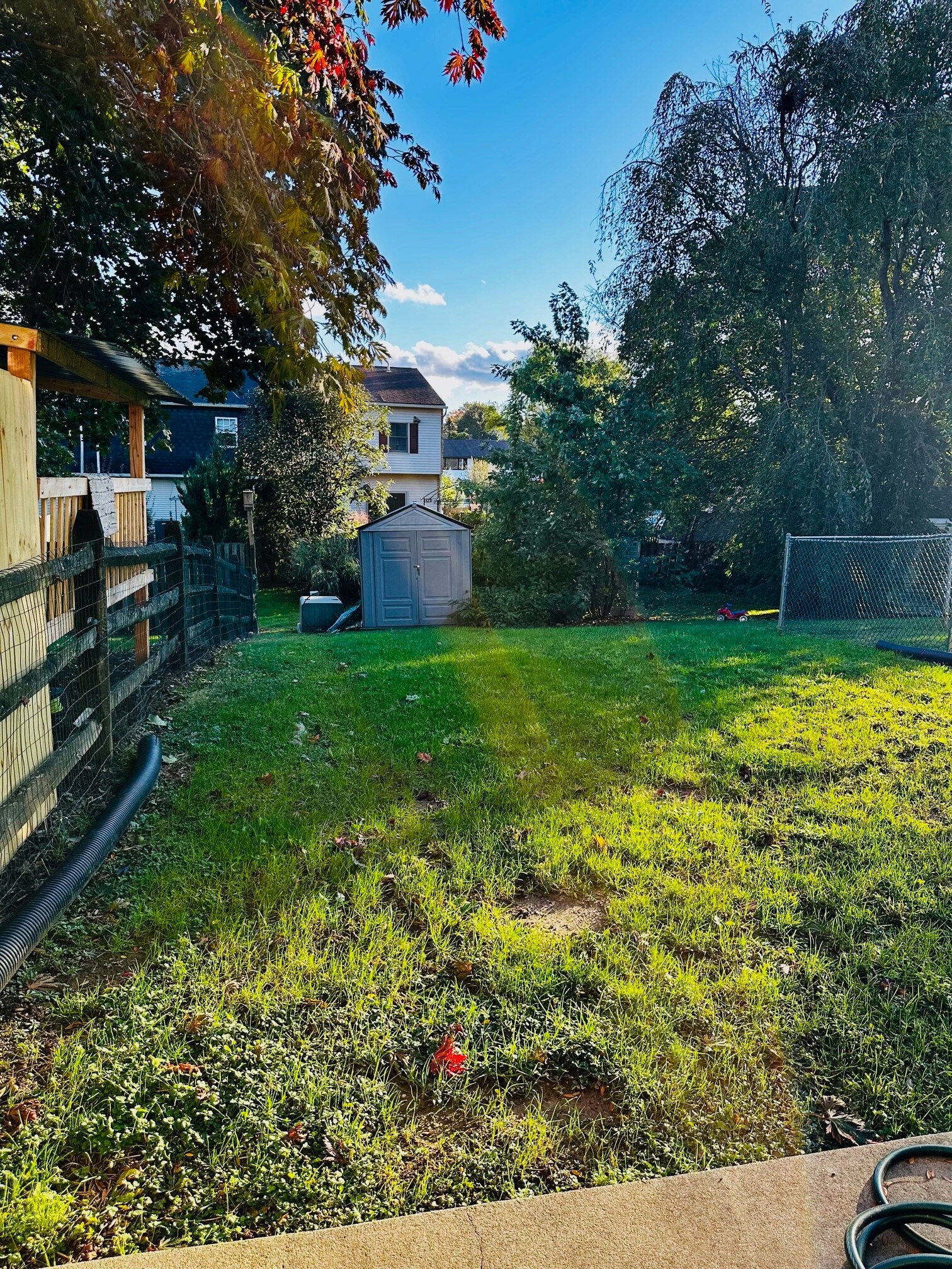 Backyard - 2016 Hale Ct