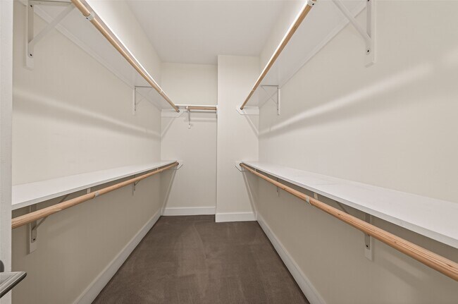 Building Photo - 5505 Robusto Pl