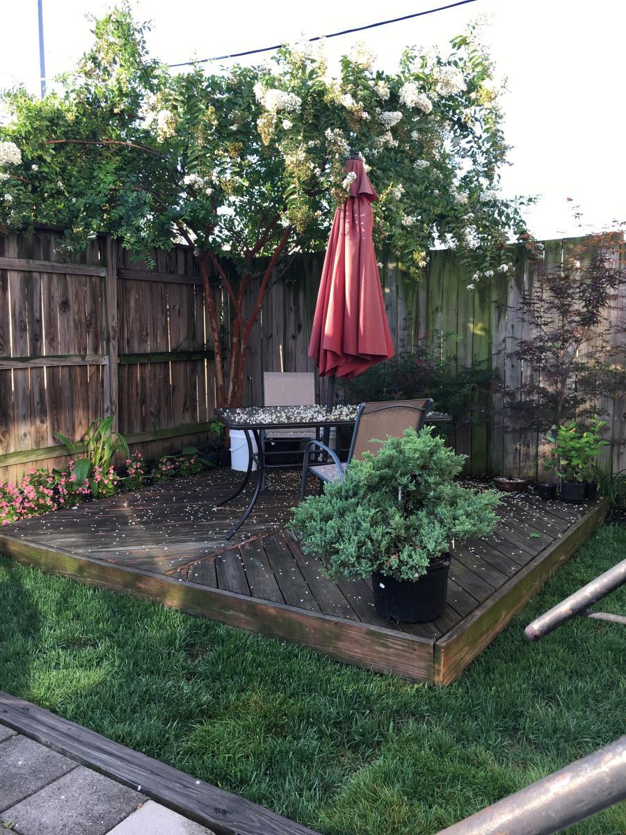 Backyard - 1653 Trinidad Ave NE