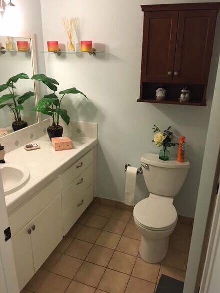 guest bathroom - 373 Springdale Cir