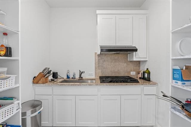 Building Photo - 2704 Warm Spgs Ln
