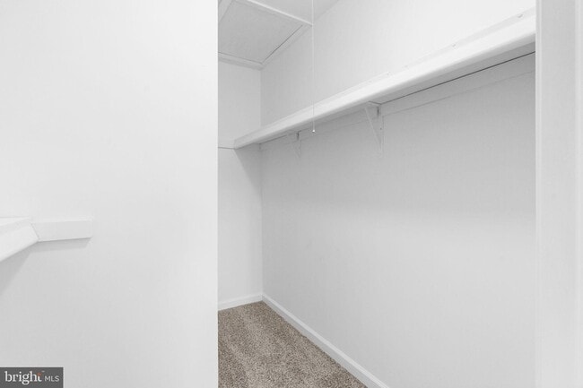 Building Photo - 408 Stockton Ct