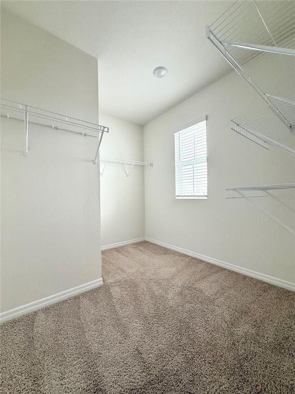 Building Photo - 10905 Penny Gale Loop