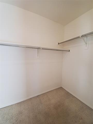 Building Photo - 9037 Golden Sunset Trail