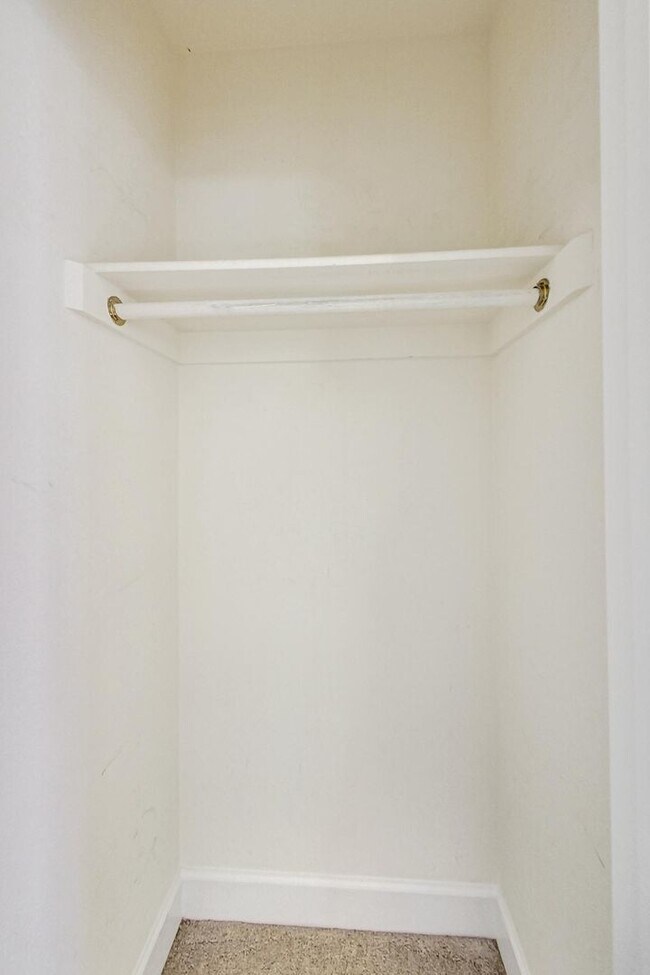 Building Photo - Cool on Cool Spring! Large SF 4 Bed + 2.5 BA