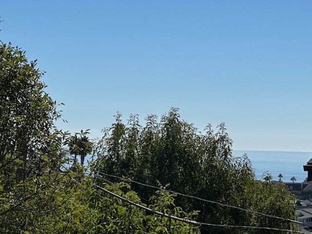 Building Photo - 33772 Violet Lantern St