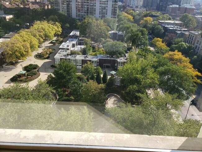 Building Photo - Studio in Gold Coast