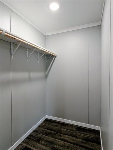 Building Photo - 2502 Coyote Trail