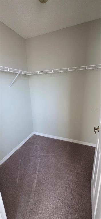 Building Photo - 103 Riggs Cir