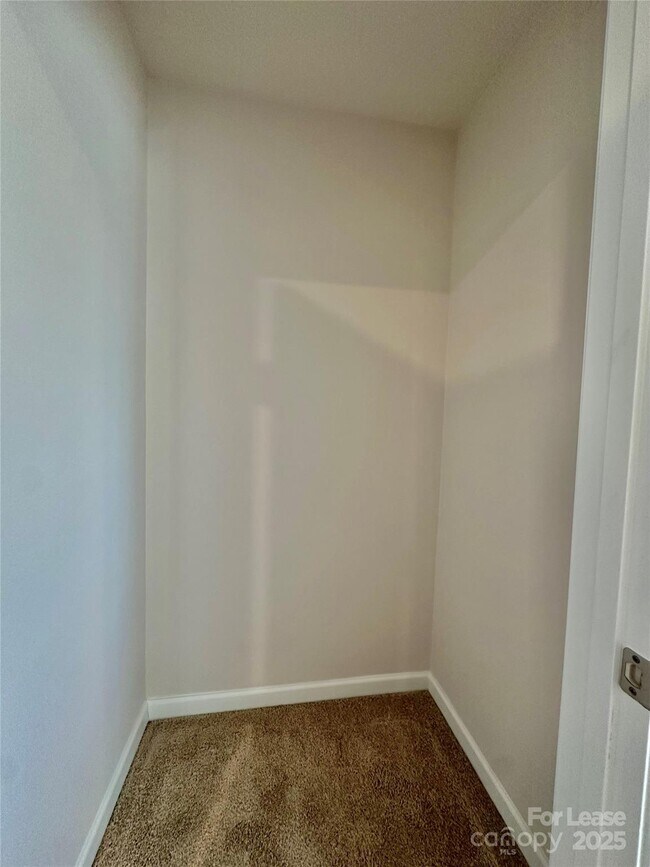 Building Photo - 1605 Blue Velvet Ln