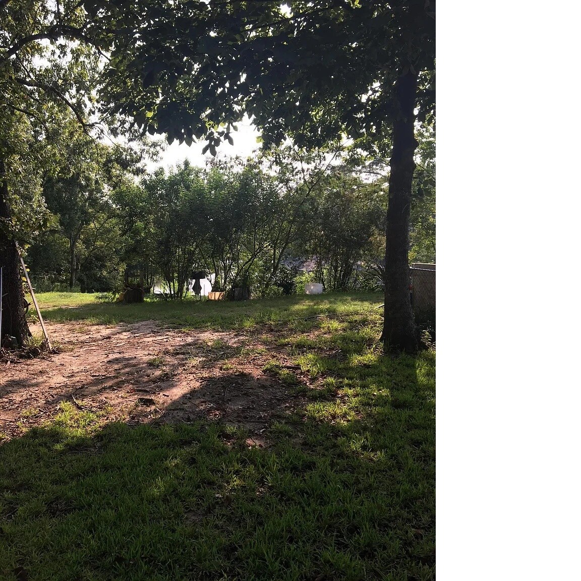 view from backyard fence - 10980 Forest Gln