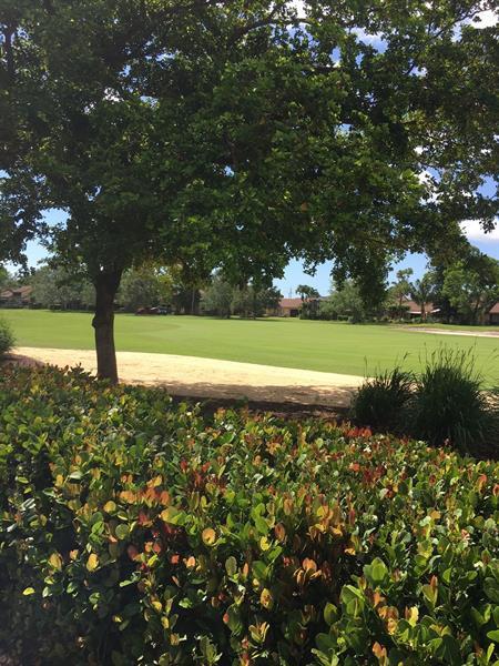 Building Photo - 2440 DC Country Club Boulevard