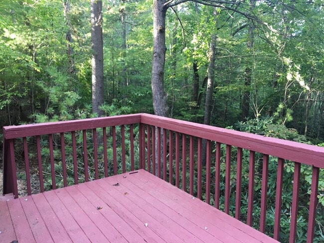 Building Photo - Black Mountain Rental