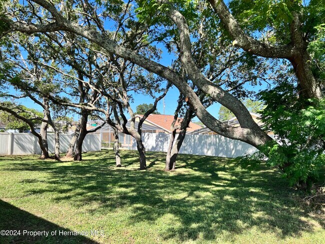 Building Photo - 13105 Hanley Dr