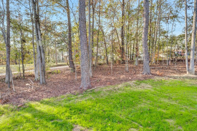 Building Photo - Charming 4 Bedroom Haven in Laurens