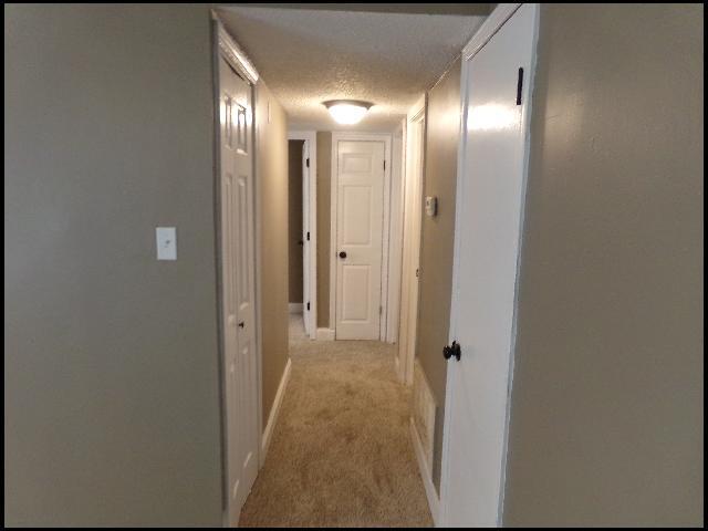 Building Photo - 96 Deer Run Dr