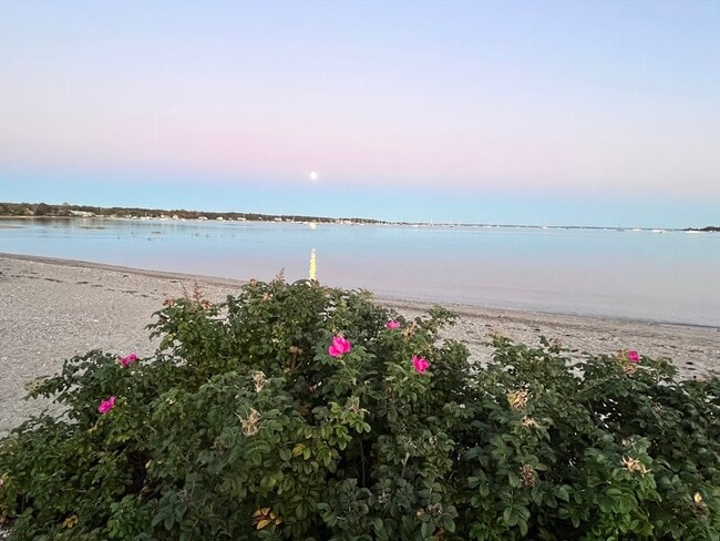 Building Photo - 12 Pearl St