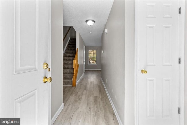 Building Photo - 229 Sherando Cir