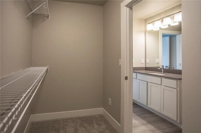 master closet - 17107 Blue Sage Ln