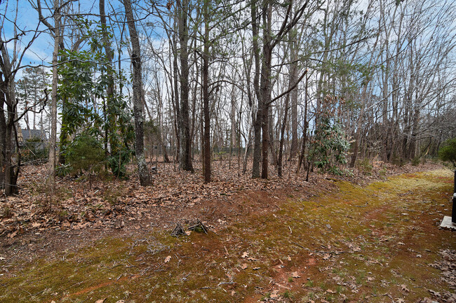 Wooded area out back door - 339 Sunny Hill Dr