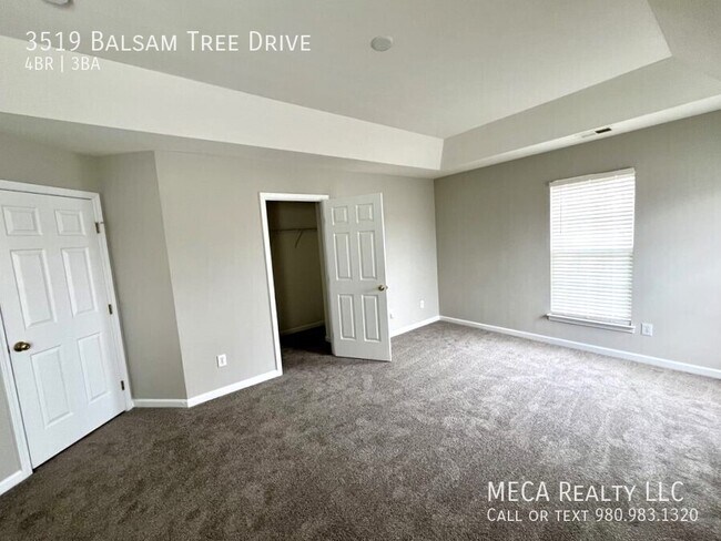 Building Photo - 3519 Balsam Tree Drive