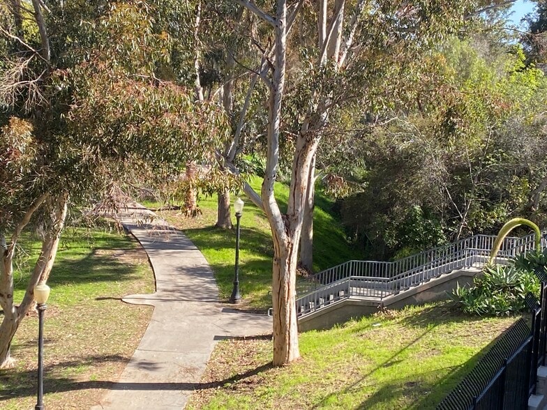 View of Park from Building - Park Place View