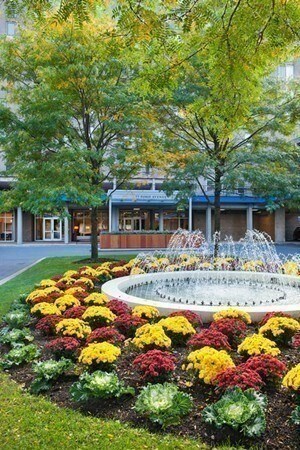 Building Photo - 33 Pond Ave