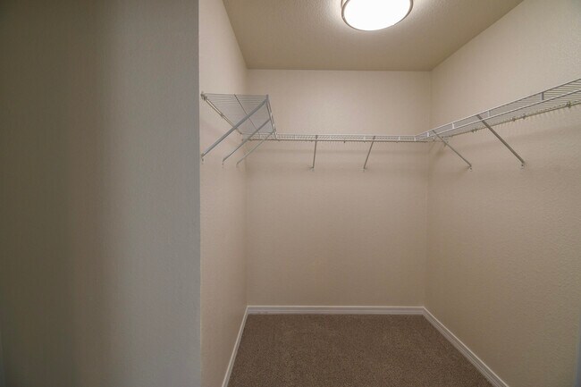 Building Photo - 735 Loblolly Bay Dr