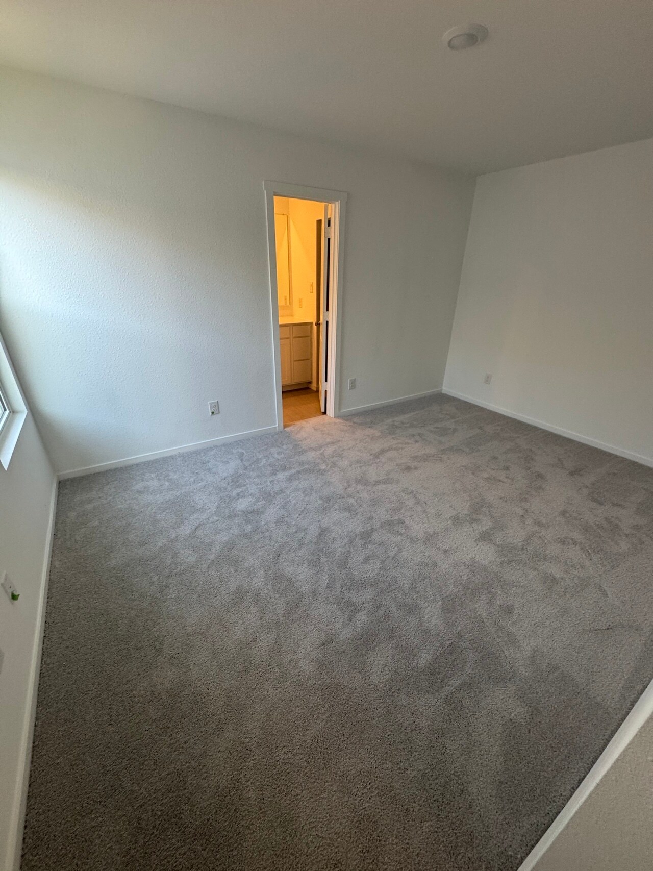 Building Photo - 12169 Steeplechase Dr