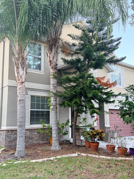 Building Photo - 20414 Carolina Cherry Ct