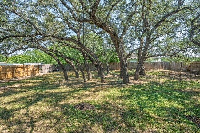 Building Photo - 2401 Haven Dr