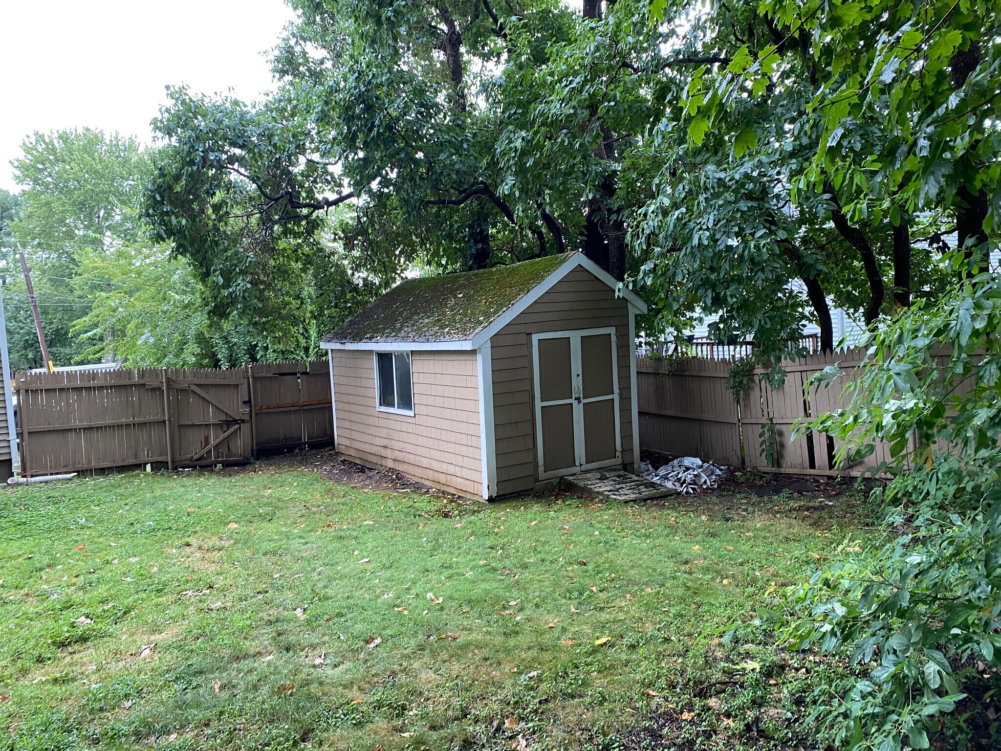 Backyard storage shed - 513 Tidewater Dr