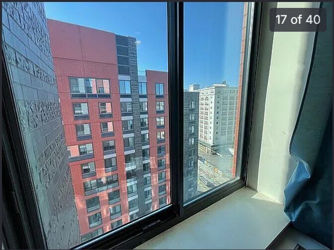 View from Living Room - 8 Vanderbilt Ave