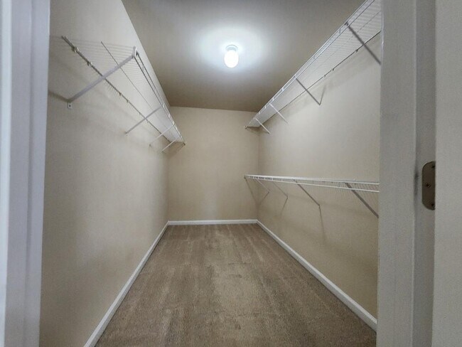 Building Photo - 229 Privet Cir