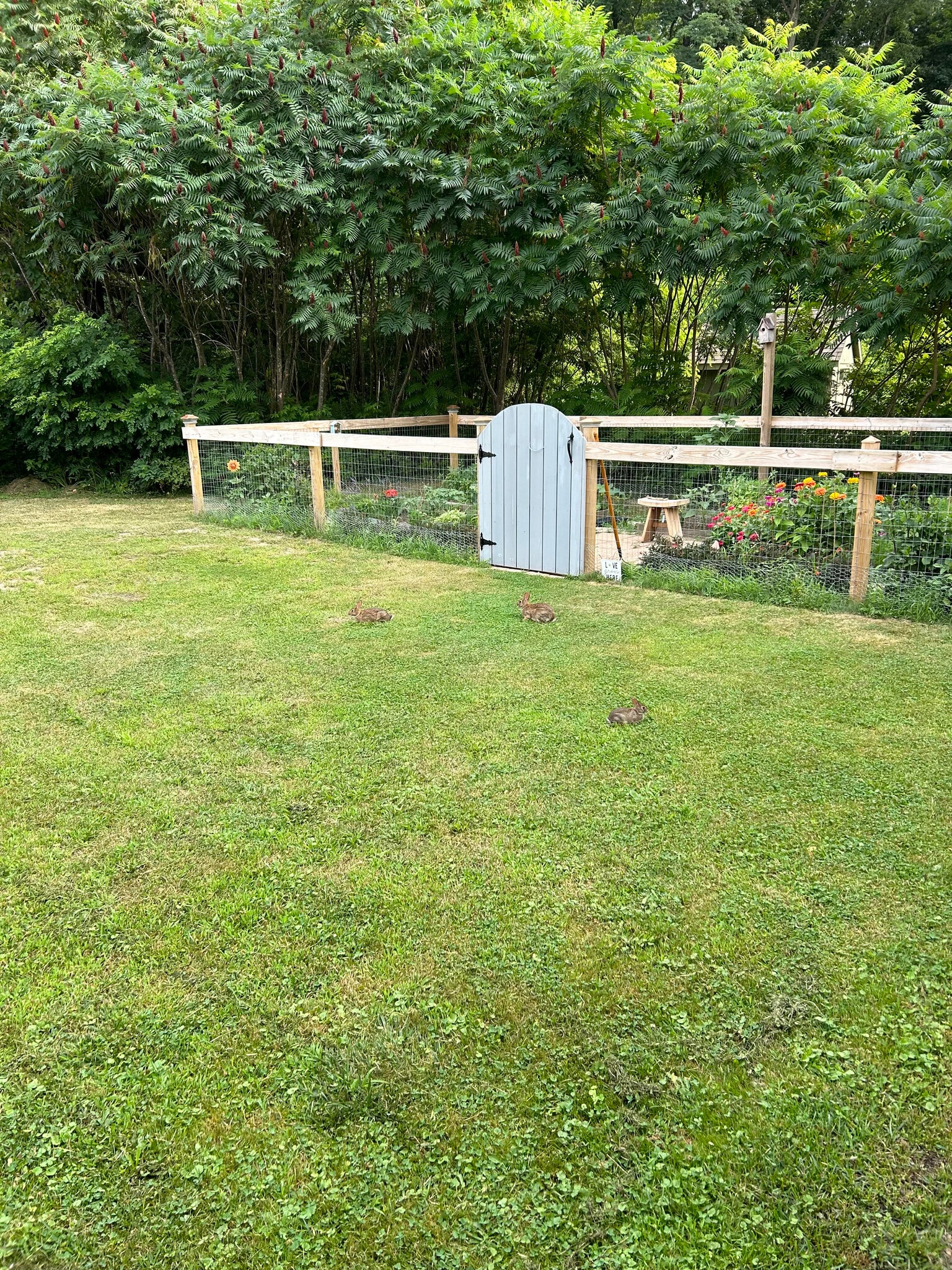 Building Photo - 975 Saratoga Rd