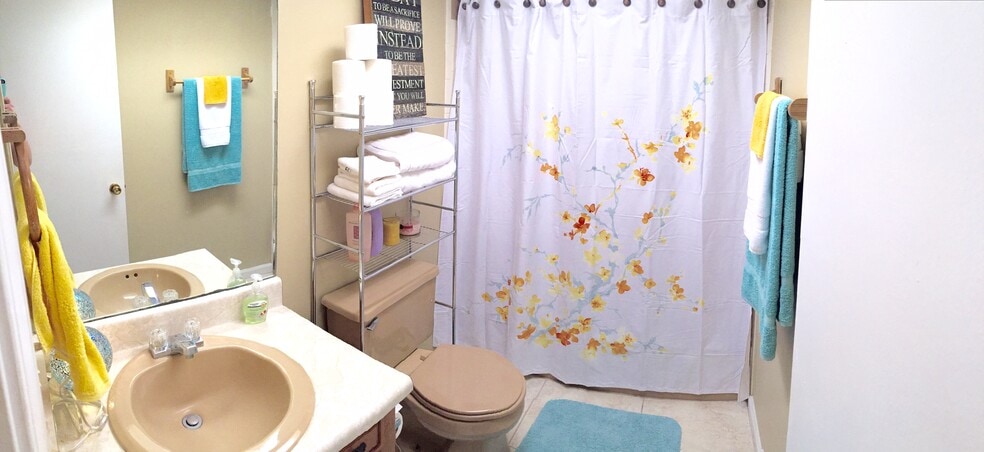 main bath - 405 Brown Rd