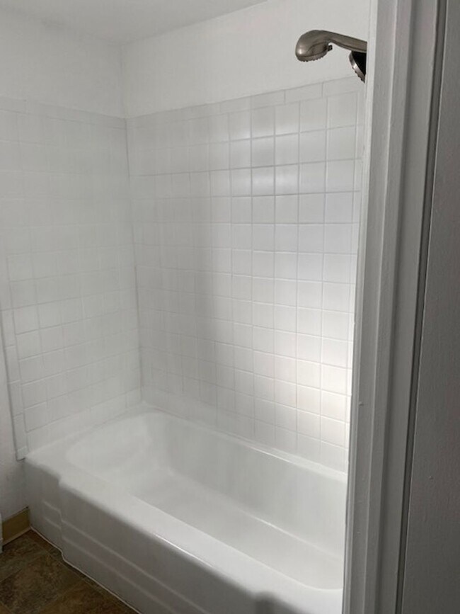 Building Photo - Newly remodeled 1-bedroom apartment near DU