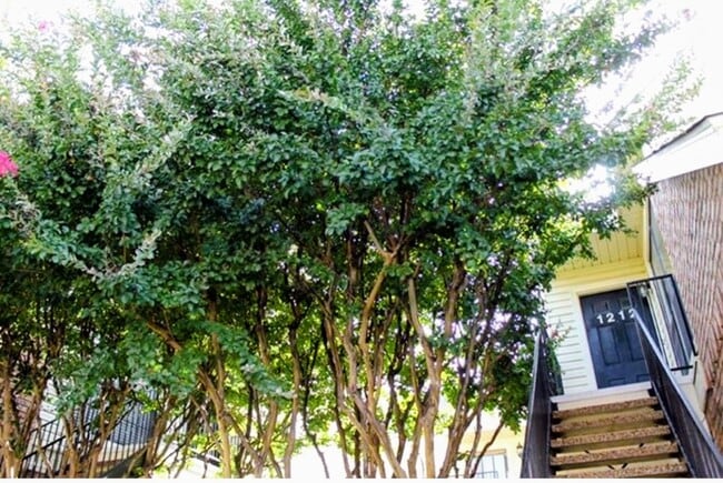 Building Photo - 2428 Forest Brook Ln